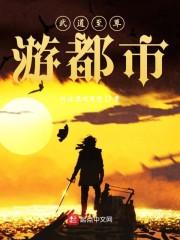 武道至尊游都市