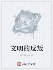 文明的反叛