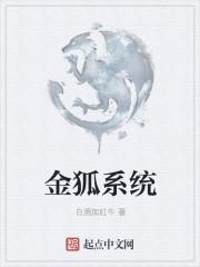 金狐系统