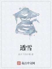 透雪
