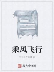 乘风飞行