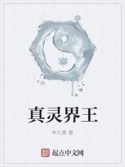 真灵界王