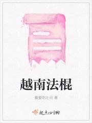 越南法棍
