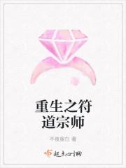 重生之符道宗师
