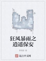 狂风暴雨之逍遥保安