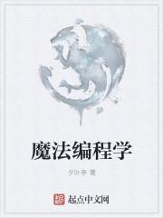 魔法编程学