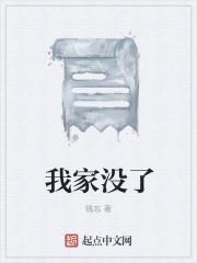 我家没了