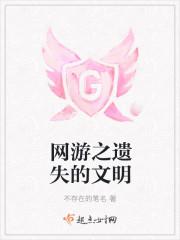 网游之遗失的文明
