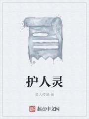 护人灵