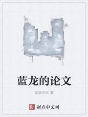 蓝龙的论文