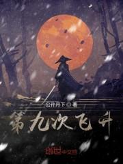第九次飞升