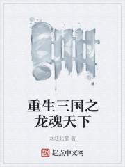 重生三国之龙魂天下