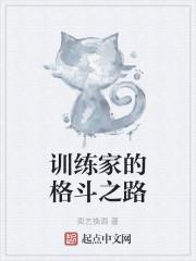 训练家的格斗之路