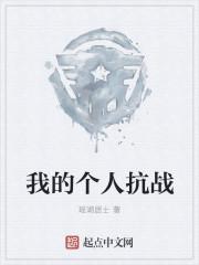 我的个人抗战