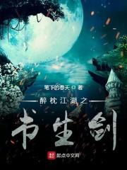 醉枕江湖之书生剑