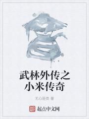 武林外传之小米传奇