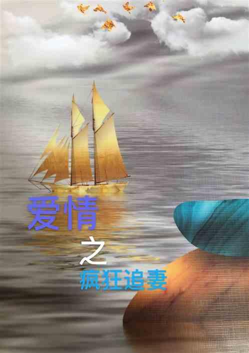 爱情之疯狂追妻