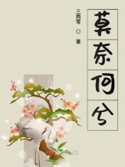 莫奈何兮