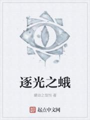 逐光之蛾