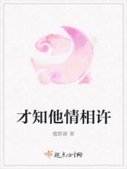才知他情相许