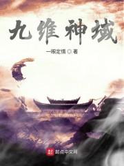 九维神域