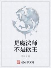 是魔法师不是砍王