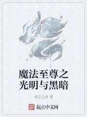 魔法至尊之光明与黑暗