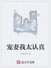宠妻我太认真