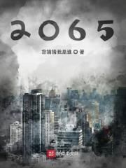 2065