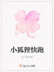 小狐狸快跑
