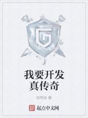 我要开发真传奇