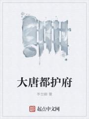 大唐都护府