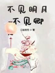 不见明月不见卿