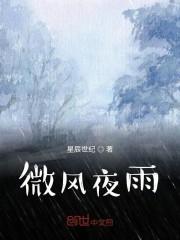 微风夜雨