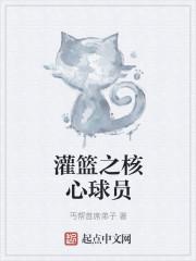 灌篮之核心球员