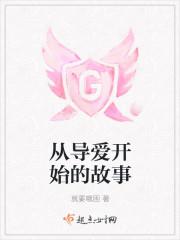 从导爱开始的故事
