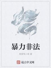 暴力非法