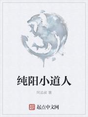 纯阳小道人