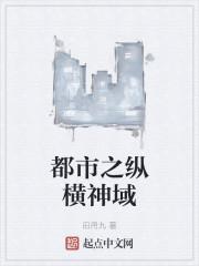都市之纵横神域