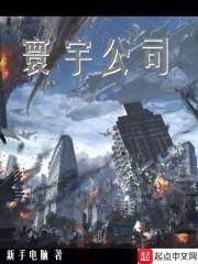 寰宇公司
