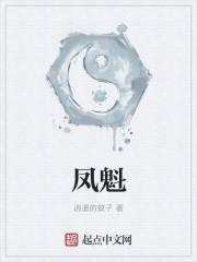 凤魁