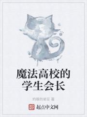 魔法高校的学生会长
