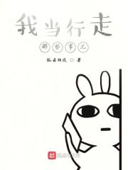 我当行走那些事儿