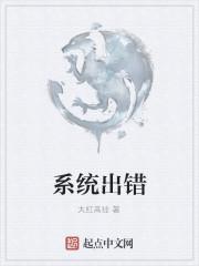 系统出错