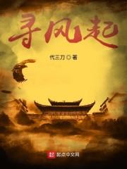 寻风起