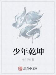 少年乾坤