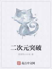 二次元突破