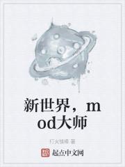 新世界,mod大师