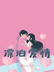 漂泊爱情