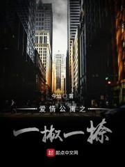 爱情公寓之一撇一捺